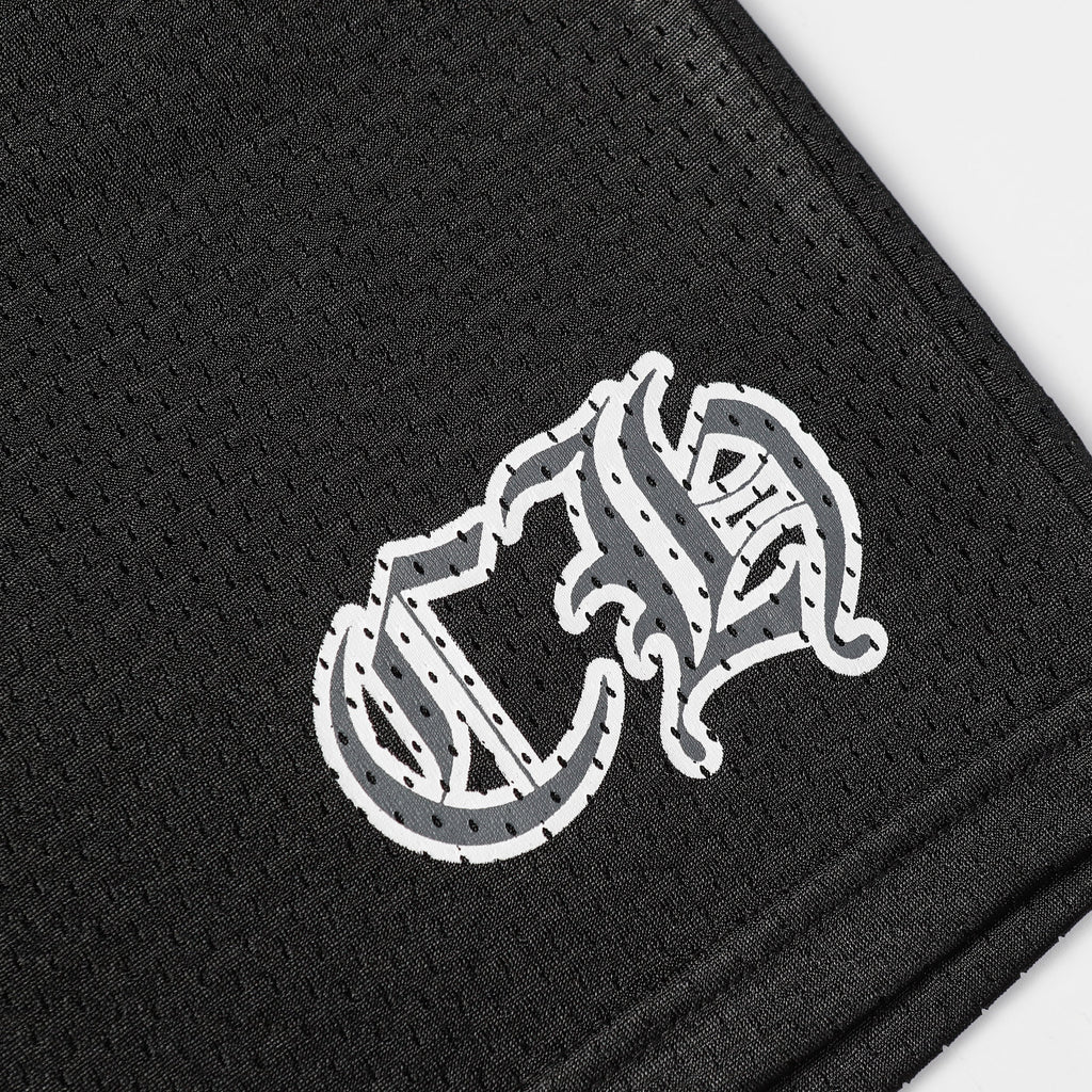 Chrome Hearts x Matty Boy PPO Form Team Mesh Warm Up Jersey Shorts 9996-2